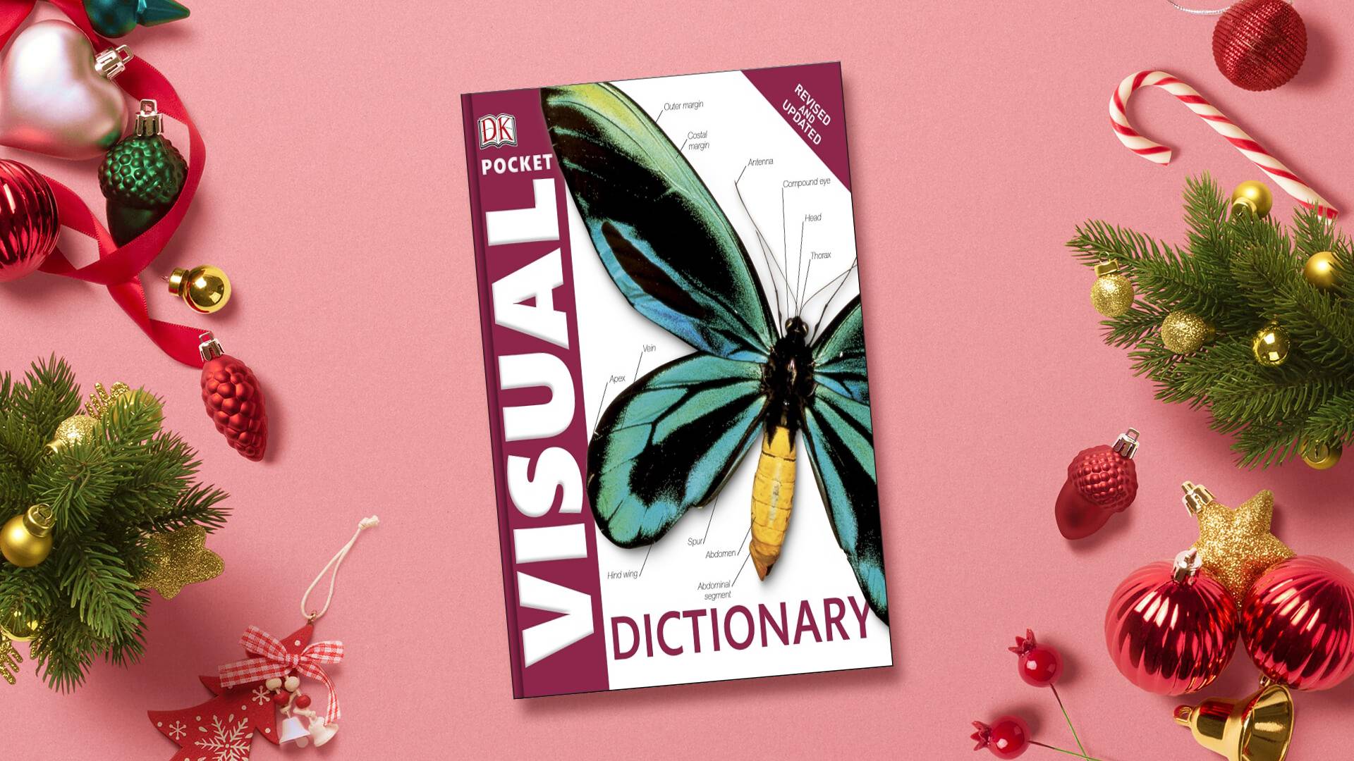 خرید دیکشنری زبان| فرهنگ تصویری زبان | Pocket Visual Dictionary | دیکشنری تصویری ویژوال پاکت