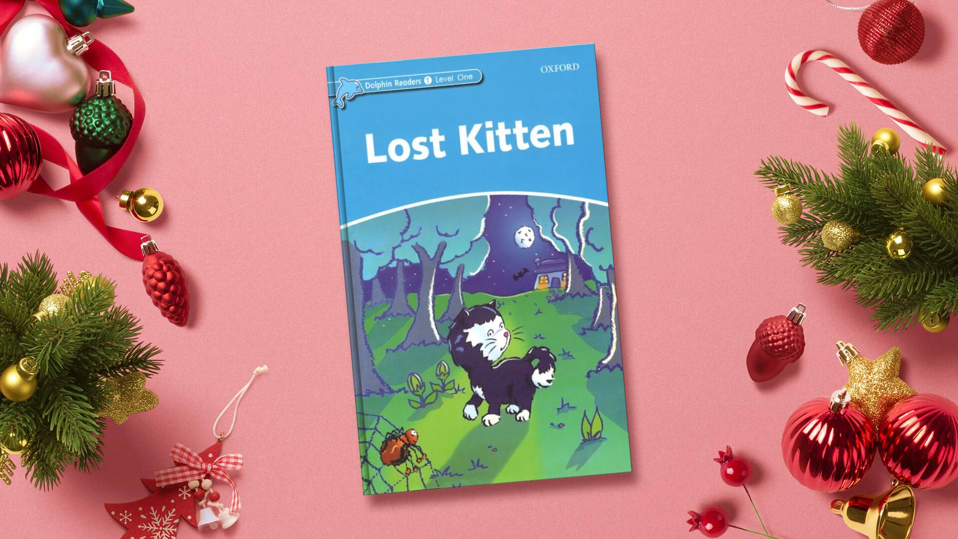 خرید کتاب زبان | فروشگاه اینترنتی کتاب زبان | Dolphin Readers 1 Level Lost Kitten | داستان دلفین ریدرز یک بچه گربه گم شده