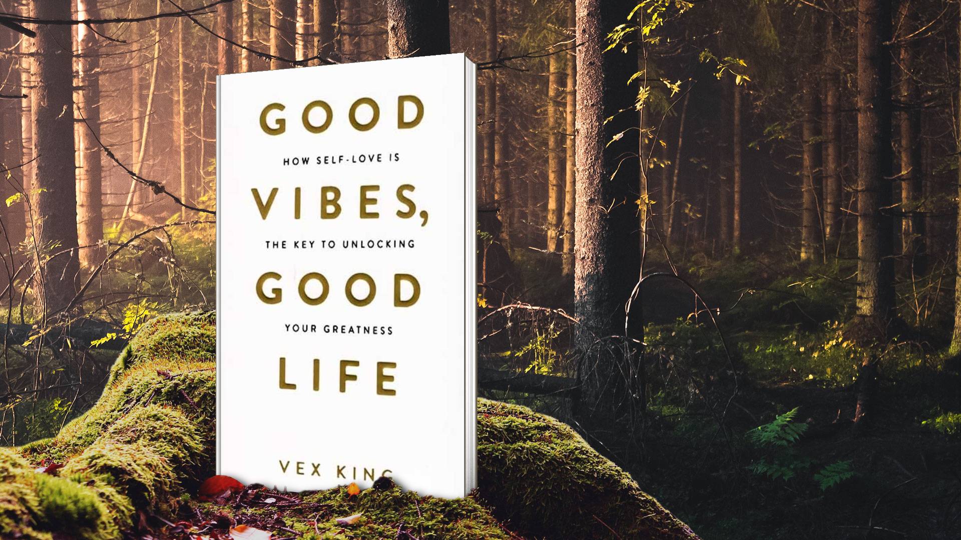 خرید کتاب رمان انگلیسی | Good Vibes Good Life | رمان انگلیسی Good Vibes Good Life اثر Vex King