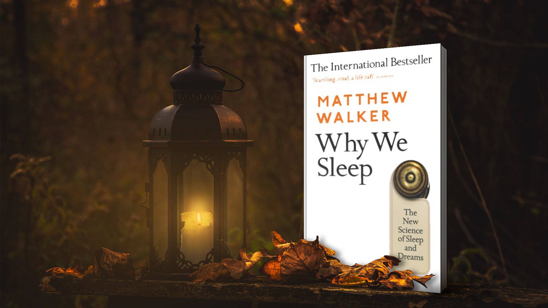 خرید کتاب رمان انگلیسی | Why We Sleep | رمان انگلیسی Why We Sleep اثر Matthew Walker