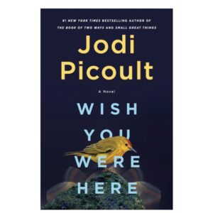 خرید کتاب رمان انگلیسی | Wish You Were Here | رمان انگلیسی Wish You Were Here اثر Jodi Picoult