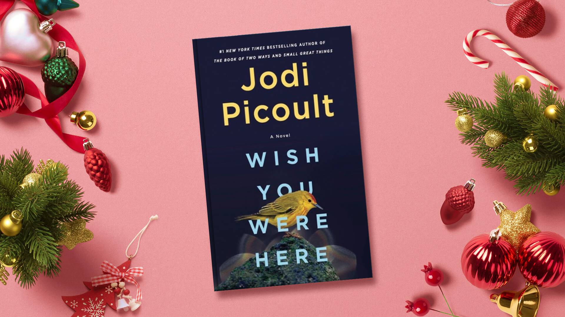 خرید کتاب رمان انگلیسی | Wish You Were Here | رمان انگلیسی Wish You Were Here اثر Jodi Picoult