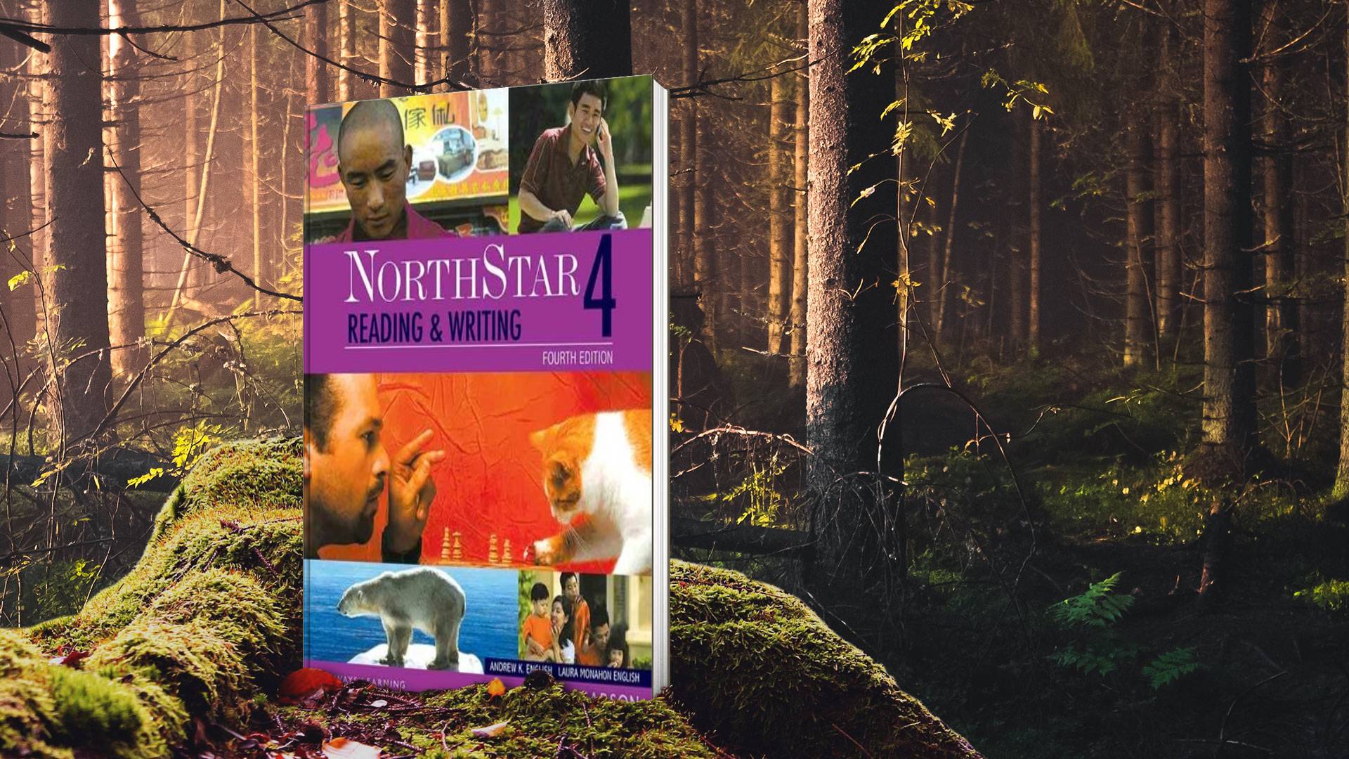 NorthStar 4 Reading and Writing Third Edition
